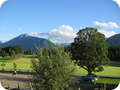 IMG_0949