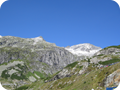 IMG_1079