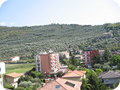 Foto 005