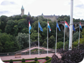 P1010005