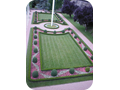 P1010008