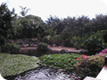 P1010043