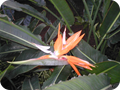P1010059