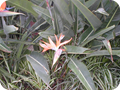 P1010060