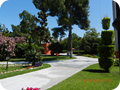 DSCN0338