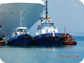 DSCN0341