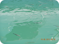 DSCN0344