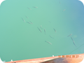 DSCN0345