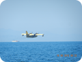 DSCN0379