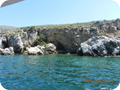 DSCN0388