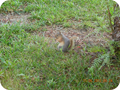 DSCN0435