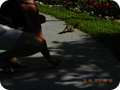 DSCN0459