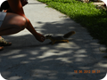 DSCN0460