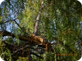 DSCN0463