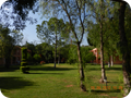DSCN0465