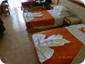 DSCN0663