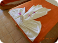 DSCN0664