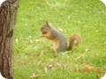 DSCN0689