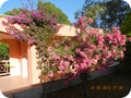 DSCN0691